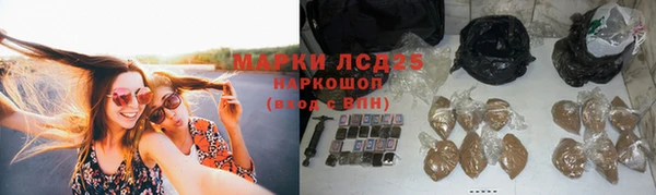 СК Балахна