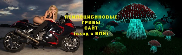 СК Балахна