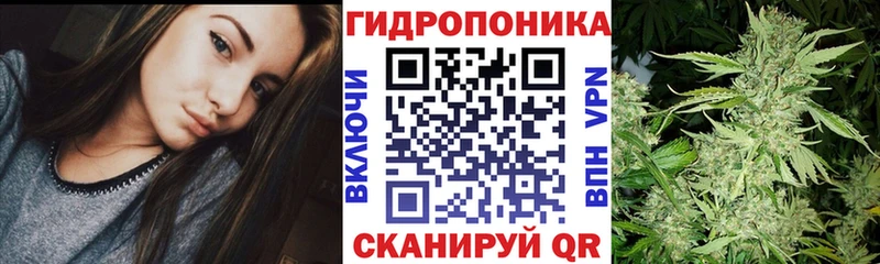 Шишки марихуана конопля  Зерноград 